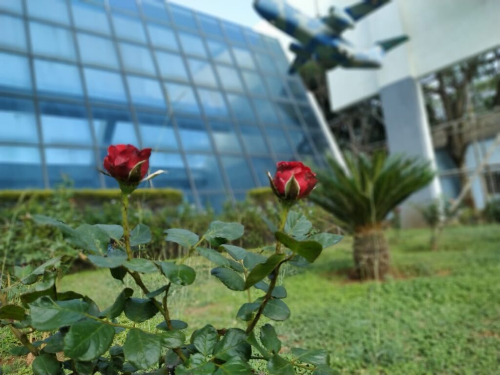 2019-02-13-1024x768 Find the best top 11 Schools in Indiranagar, Bangalore